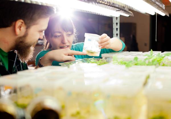 Students of the Horticulture Technician at the Horticultural Centre