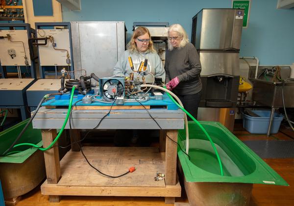 Young woman and instructor with refrigeration equipment